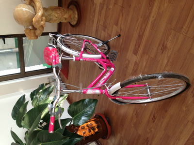 【天津市濮琪自行車】?jī)r(jià)格,廠家,圖片,自行車,天津市濮琪自行車-